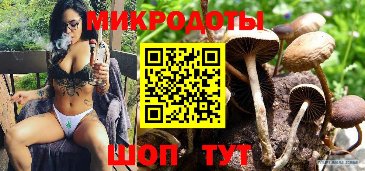 где можно купить наркотик  Псилоцибиновые грибы GOLDEN TEACHER  Вход с VPN  Надым 